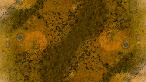 Microscopic View of Ink in Water Stockbeeldmateriaal 71122184