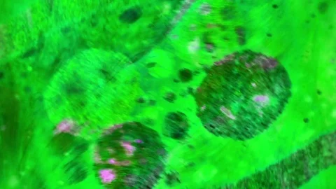 Microscopic View of Ink in Water 스톡 동영상 71122213