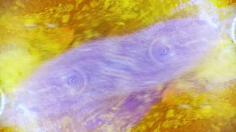 Microscopic View of Ink in Water Video stock 71122300