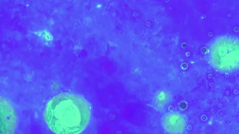 Microscopic View of Ink in Water Видео 71122399