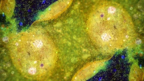 Microscopic View of Ink in Water Vídeos de archivo 71122857