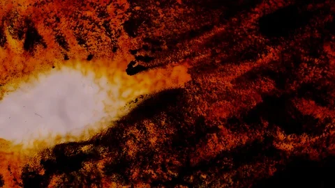 Microscopic View of Ink in Water Stock Footage 100608955