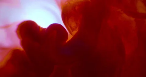 Microscopic view inside body and blood particle cells red flow bg texture Stock Footage 168502742