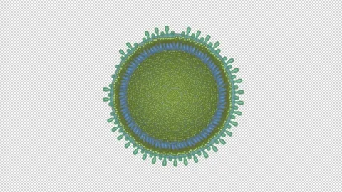 Microscopic view of inside Coronavirus COVID-19 split in half with dna Stock Footage 136349341
