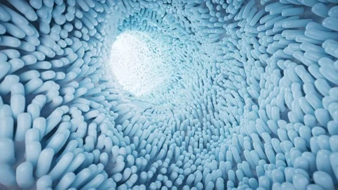 Microscopic view inside human intestine with moving villi creating digestiv.. Stockbeeldmateriaal 332391966
