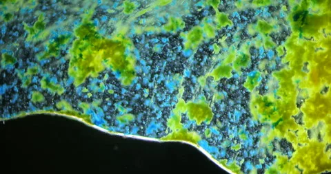 Microscopic view of liquid ink mixing colors Stock Footage 300420140