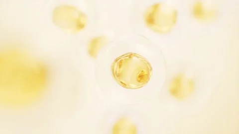 Microscopic view of luminous cells in golden liquid, dynamic abstract backg.. Stock Footage 328335045