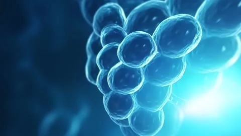 Microscopic view of moving molecules of matter. Scientific and medical concept. Stock Footage 239936542