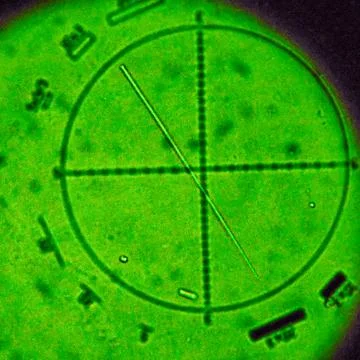 Microscopic view of one asbestos fiber Stock Photos