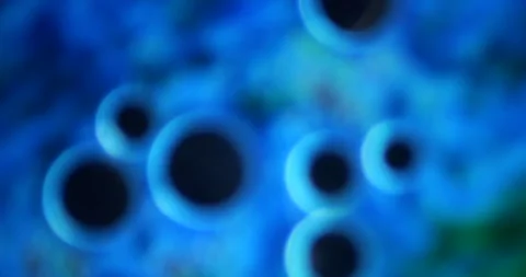 Microscopic view of organic fluid with 100x magnification in laboratory  Stock Footage 294263893