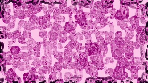 Microscopic view of pink blood cells in motion during a medical scan with s.. Stock Footage 340908077