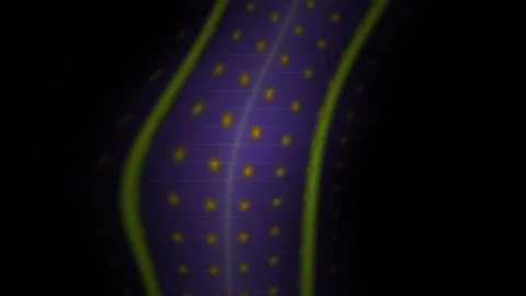Microscopic view of a purple cell with yellow spots. Stock Footage 336702690