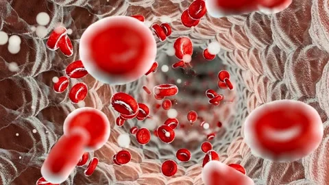 Microscopic View, Red Blood Cells in Ves... | Stock Video | Pond5