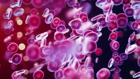 Microscopic View of Red Blood Cells in M... | Stock Video | Pond5