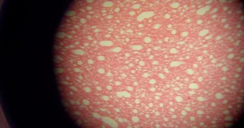 Microscopic view of a red surface presenting a unique pattern 库存照片