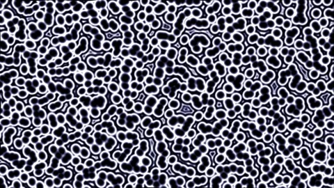 Microscopic view of rod shaped bacteria Stock Footage 341015144