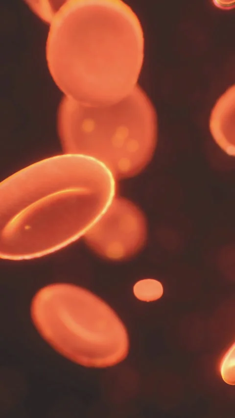 Microscopic view shows red blood cells moving through an organisms blood 스톡 동영상 334885270
