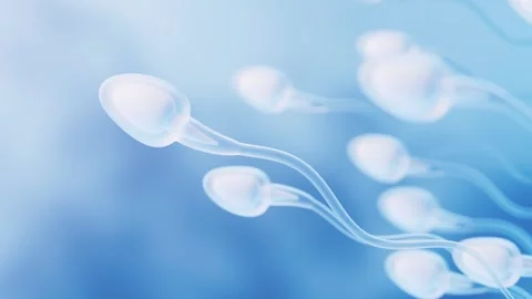 Microscopic view of sperm cells swimming dynamically against blue backgroun.. Stock Footage 332150596