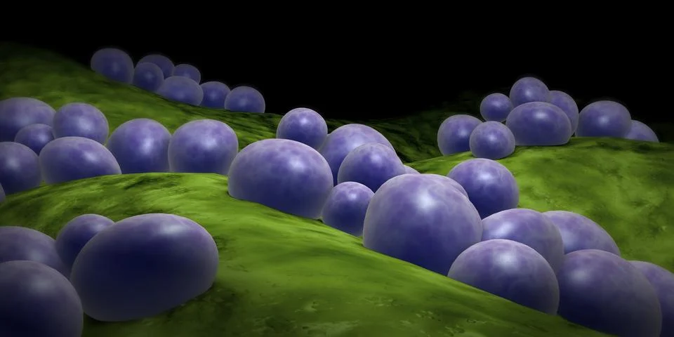 Microscopic view of staphylococcus Stock Illustration