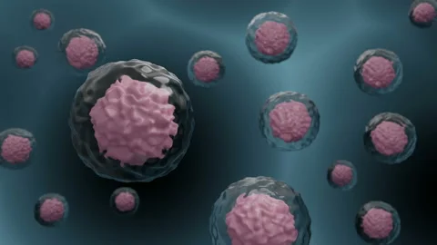Microscopic View of Stem Cells Showing the Nucleus and Membrane Stock Footage 131472706