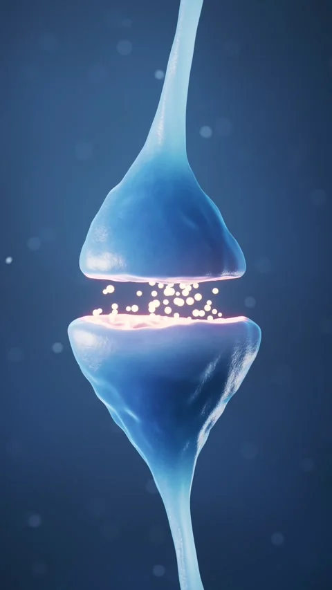 Microscopic view of synapse transmitting signals between neurons with neuro.. Stock Footage 332151921