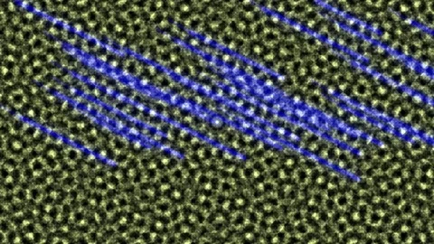 Microscopic view of vibrant biological cell structure and cellular processes Stock Footage 336161997