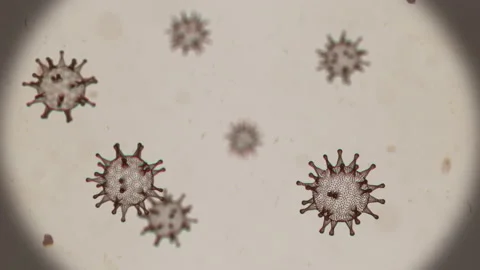 Microscopic view to the virus cells in the viability liquid environment Stock Footage 196102858