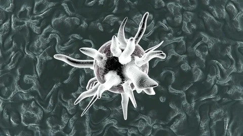 Microscopic view on a Virus in the human Body Stock-Footage 83082202
