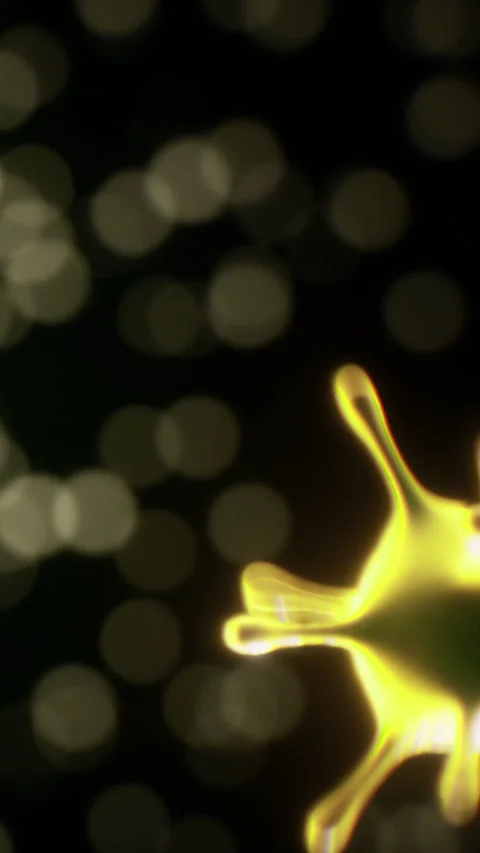 Microscopic view of a yellow organism in a dark background with light spots Stock Footage 336025673