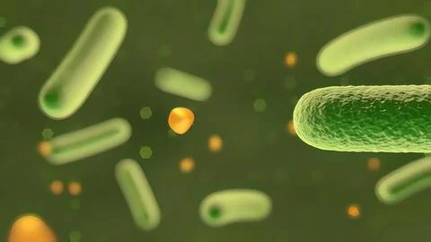Microscopic visualization of bacteria . Stockillustratie