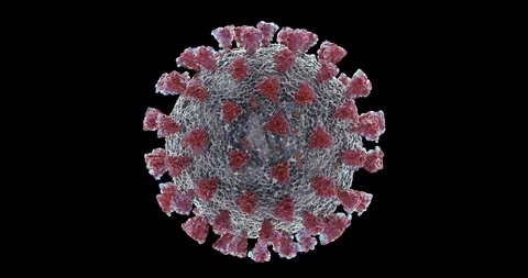 Microscopic visualization of Coronavirus COVID-19 (2019-nCoV) 스톡 동영상 128059188