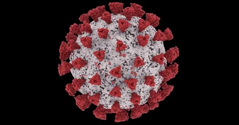 Microscopic visualization of Coronavirus COVID-19 (2019-nCoV) 스톡 동영상 128059201