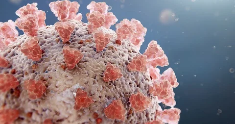 Microscopic visualization of Coronavirus COVID-19 (2019-nCoV) 스톡 동영상 128059656