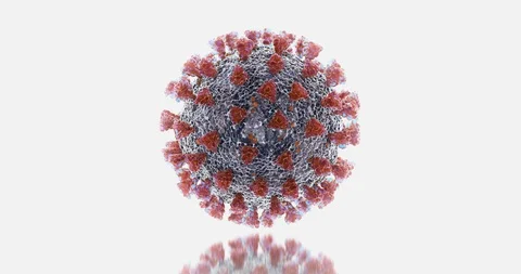 Microscopic visualization of Coronavirus COVID-19 (2019-nCoV) 스톡 동영상 128059942