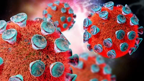 Microscopic Visualization Of The Coronavirus. Stock Footage 126243310