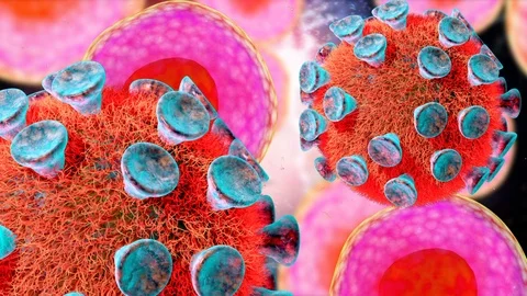 Microscopic Visualization Of The Coronavirus. Stock Footage 126243740