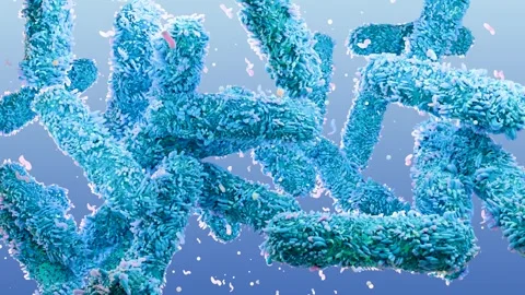 Microscopic visualization of pathogenic bacteria causing infection Stock Footage 319438579