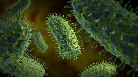 Microscopic visualization of rabies virus. Stock Footage
