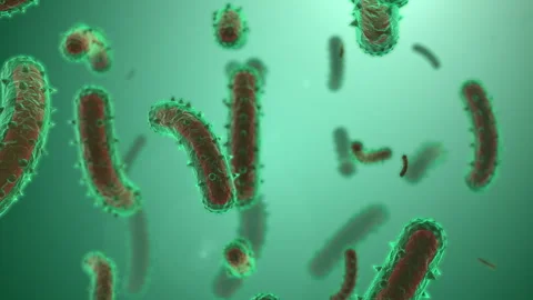 Microscopic visualization of rabies virus. Stock Footage 247809429