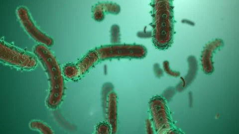 Microscopic visualization of rabies virus. Stock Illustration