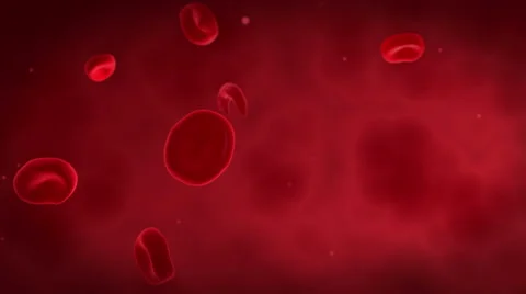 Microscopic visualization of sicke cells causing anemia disease. Stock Footage