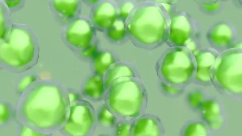 Microscopic visualization of vibrant microscopic cells Stock Footage 310948192