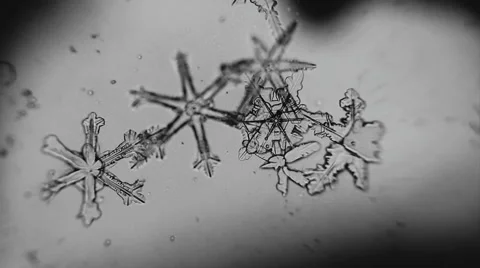 Microscopic water freezes in the pattern of snowflakes Stock Footage 60563685