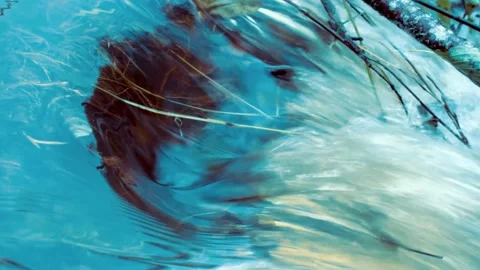 Microscopic waterfall on a stream Stock Footage 152520666