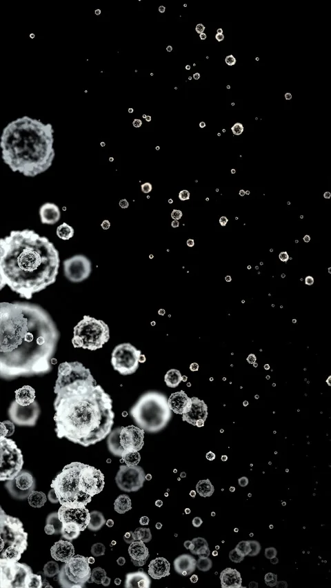 Microscopic white blood cells floating in organism Stock Footage 342279588