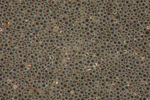 Microscopically small glass beads on a reflector foil Stock Photos