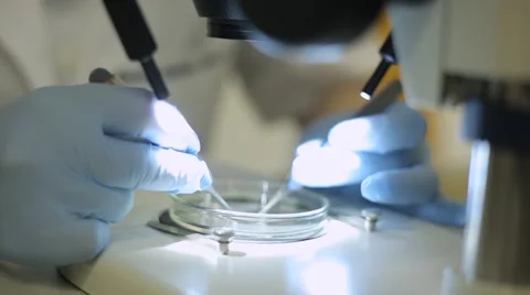 Microscopy experiment Stock Footage 47407622