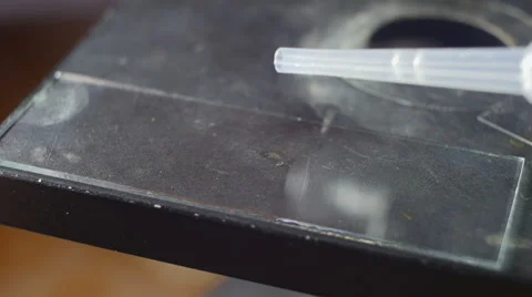 Microscopy [sperm slide] setting up Stock Footage 65009090