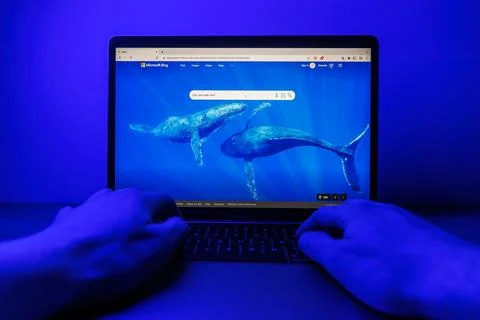 Microsoft Bing on computer. Man working on PC with Microsoft Bing. Point of view Stock Photos