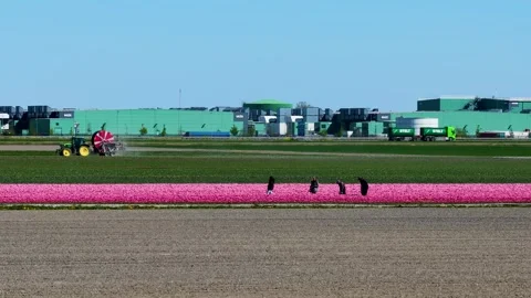 Microsoft Data Center with Flowerfield 库存影片 333863162